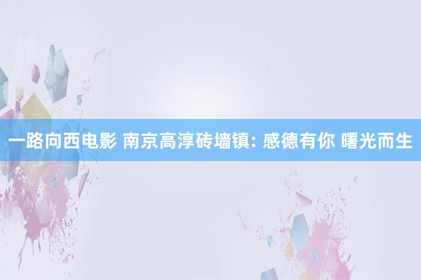 一路向西电影 南京高淳砖墙镇: 感德有你 曙光而生