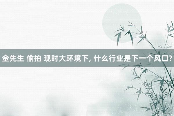 金先生 偷拍 现时大环境下， 什么行业是下一个风口?