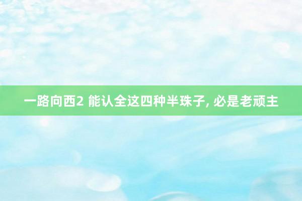 一路向西2 能认全这四种半珠子， 必是老顽主