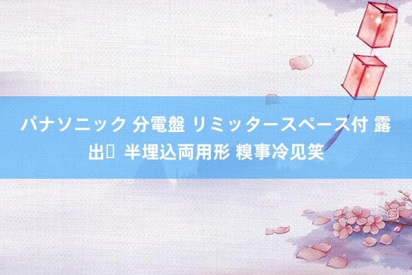 パナソニック 分電盤 リミッタースペース付 露出・半埋込両用形 糗事冷见笑